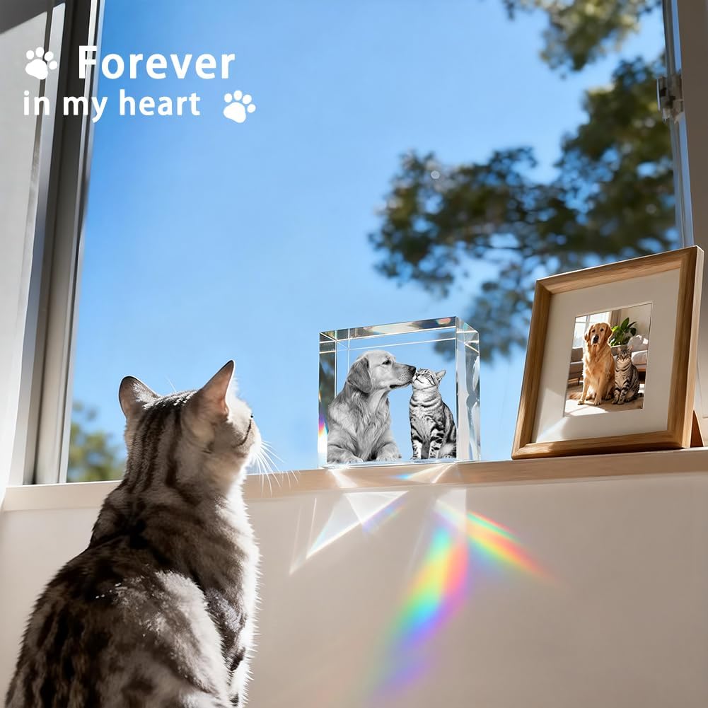3D Crystal Photo Memorial Gift for Loss of Dog - Personalized Pet Keepsake, Rainbow Bridge Sympathy Gift for Dog Cat Horse Owners, Thoughtful Animal Photo Gift S