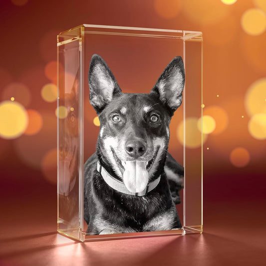 3D Crystal Photo, Personalized Father's Day Keepsake for Dad, Grandpa, Husband, Men, Him, Great Customized Gift With Your Own Photo, Custom Glass 3D Laser Etched Picture Frame-Small Rectangular