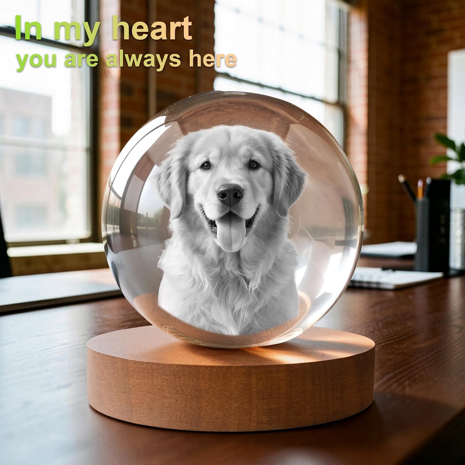 3D Crystal Photo Memorial Gift for Loss of Dog with Wooden Base Magic Decorative Ball, Unique Gift for Mom Dad Pet Owner Mother M