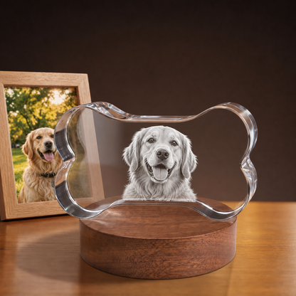 3D Crystal Bone personalized pet photo engraving on walnut display base