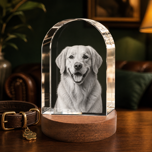 3D Crystal Arch Personalized Pet Lover Gift dog portrait lifestyle image