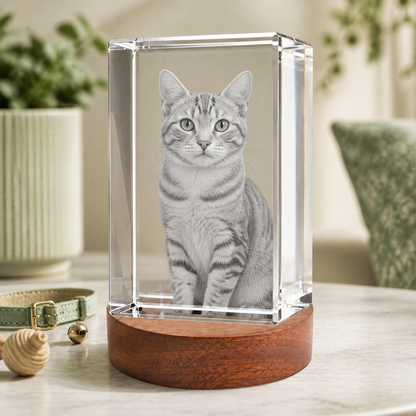3D Crystal Rectangle Personalized Pet Lover Gift cat portrait lifestyle image