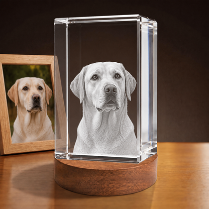 3D Crystal Rectangle personalized pet photo engraving on walnut display base