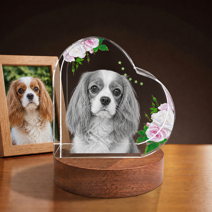 3D Crystal Special Heart personalized pet photo engraving on walnut display base